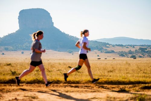 THE BIG FIVE MARATHON | 42K,21K 2023